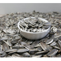 Bulk Package Good Quality 361/363/601 Sunflower Seeds